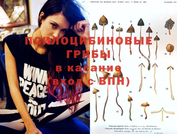 прущие крисы Богородск