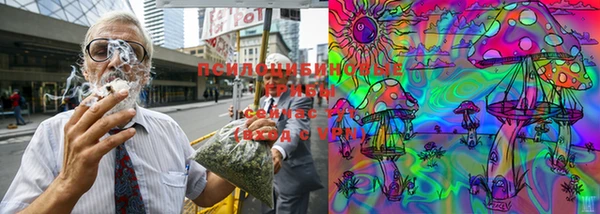 jwh Богданович