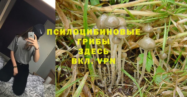 jwh Богданович
