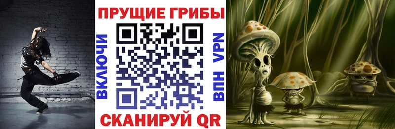 цена   Ростов-на-Дону  Псилоцибиновые грибы прущие грибы 